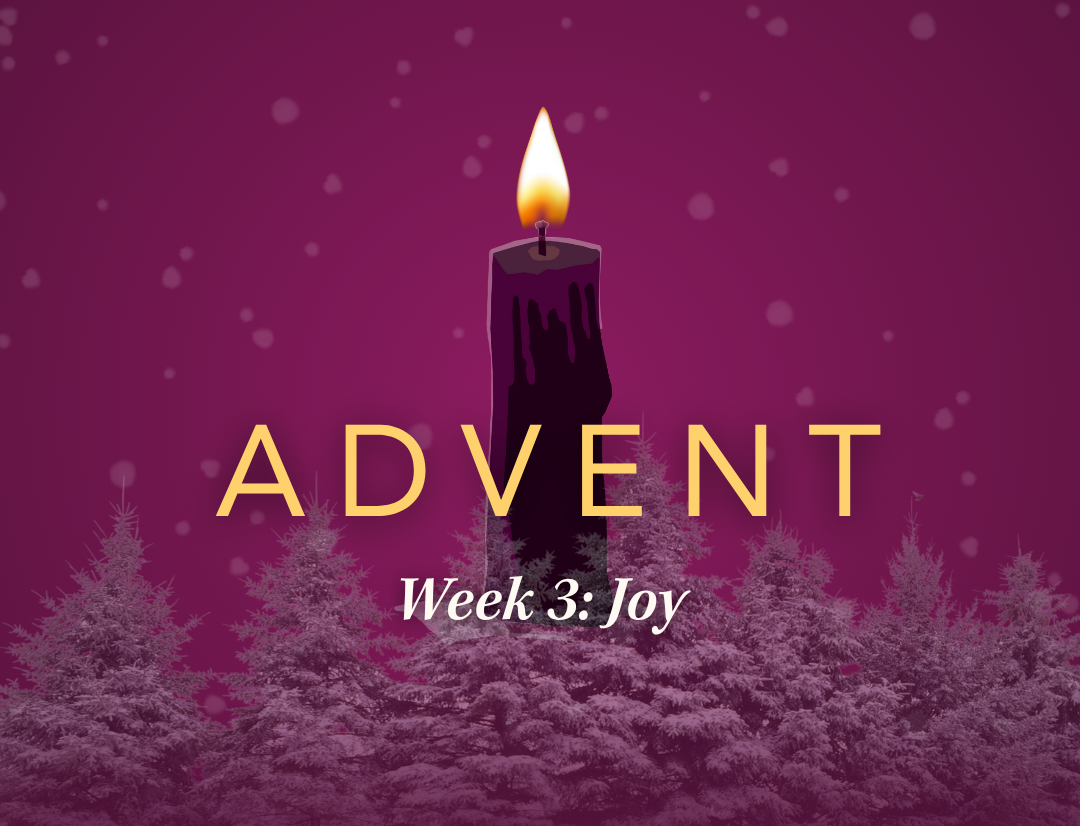 Rejoice in the joy you bring