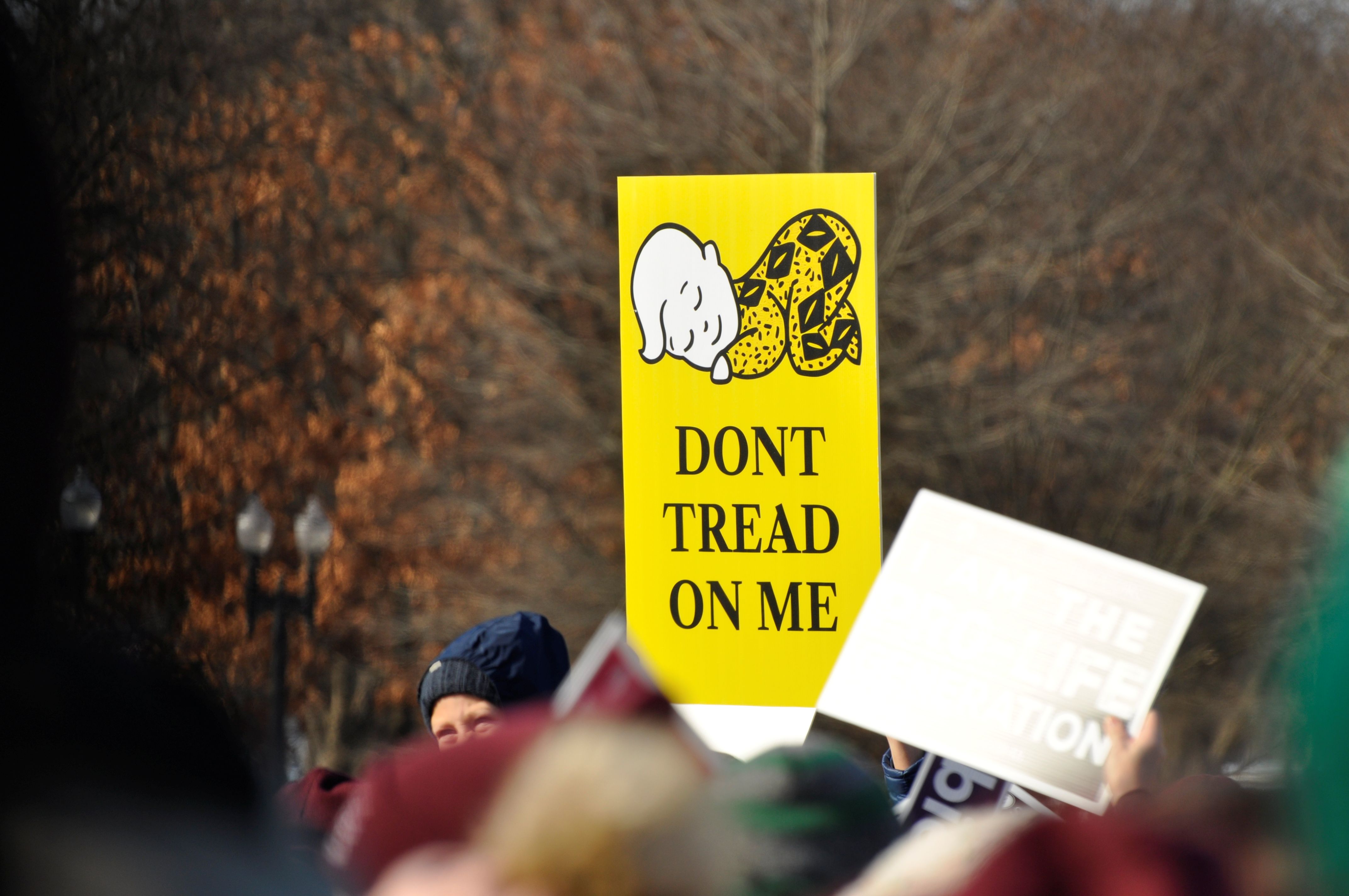 Illinois sued over law that could force pro-life groups to hire abortion advocates