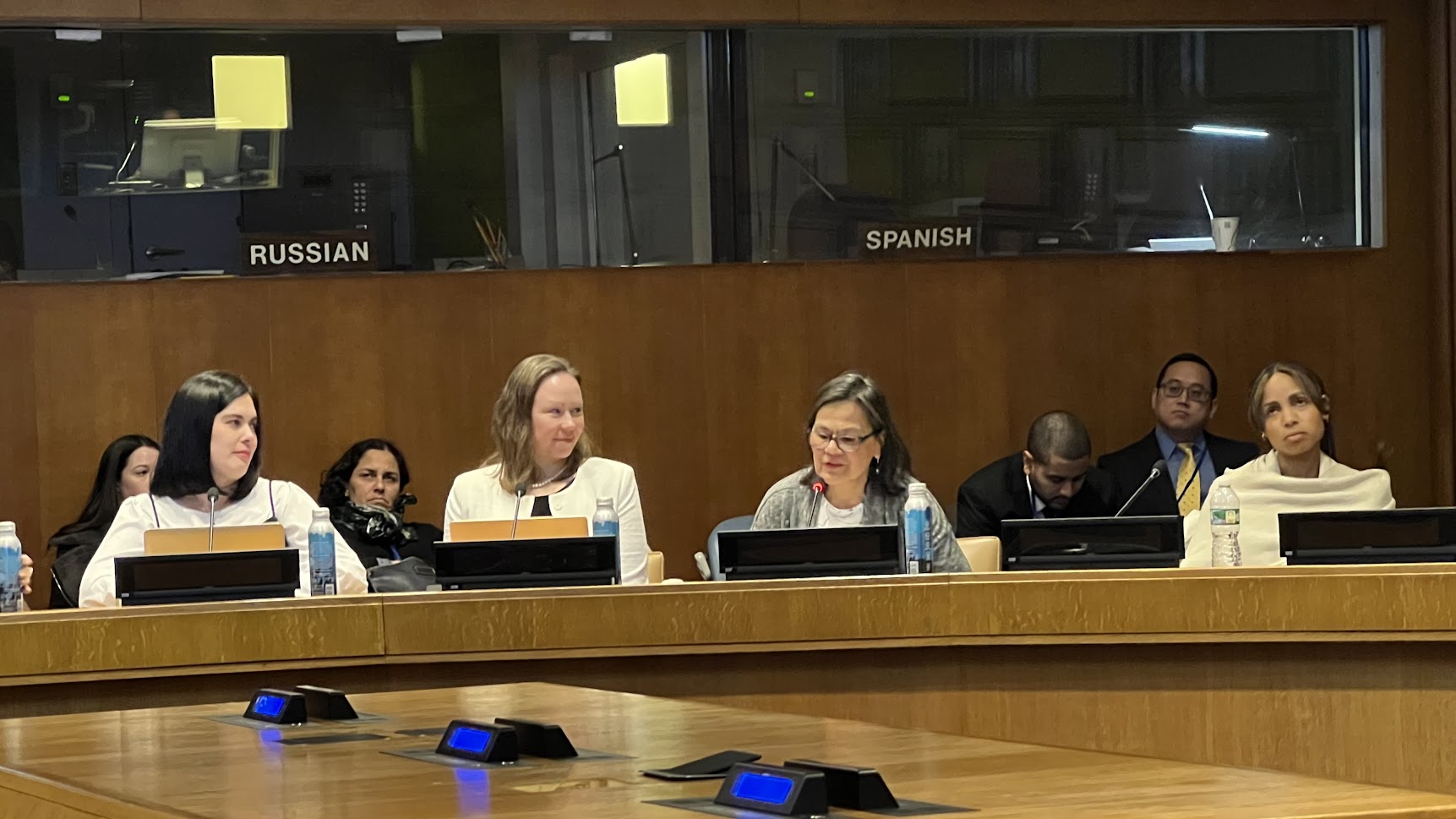 Ellen Foell addressing the Geneva Consensus Declaration Panel at the United Nations