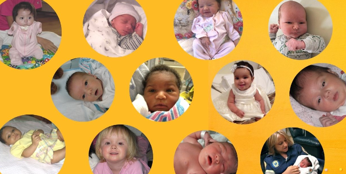 Florida pregnancy help non-profit celebrates more than 400 infants saved