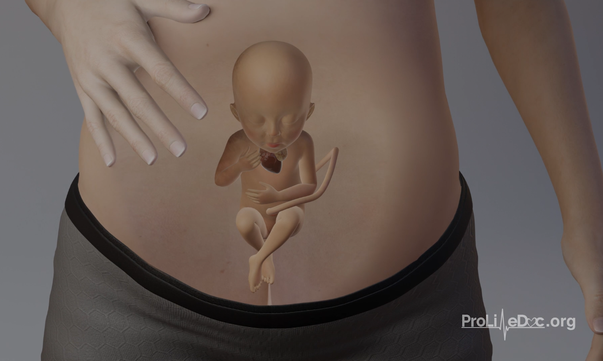 New pro-life curriculum equips with “truth and science and facts”
