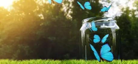 The New York Times Throws in the Towel on \"Overpopulation\"