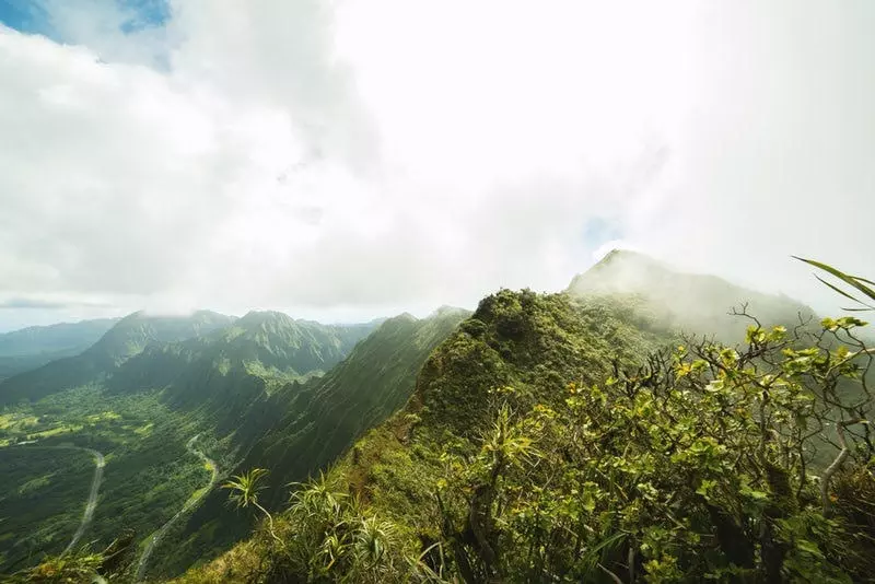 Hawaii Protects Conscience Rights for Pro-life Pregnancy Centers Following Investigation for Discrimination by Trump Admin