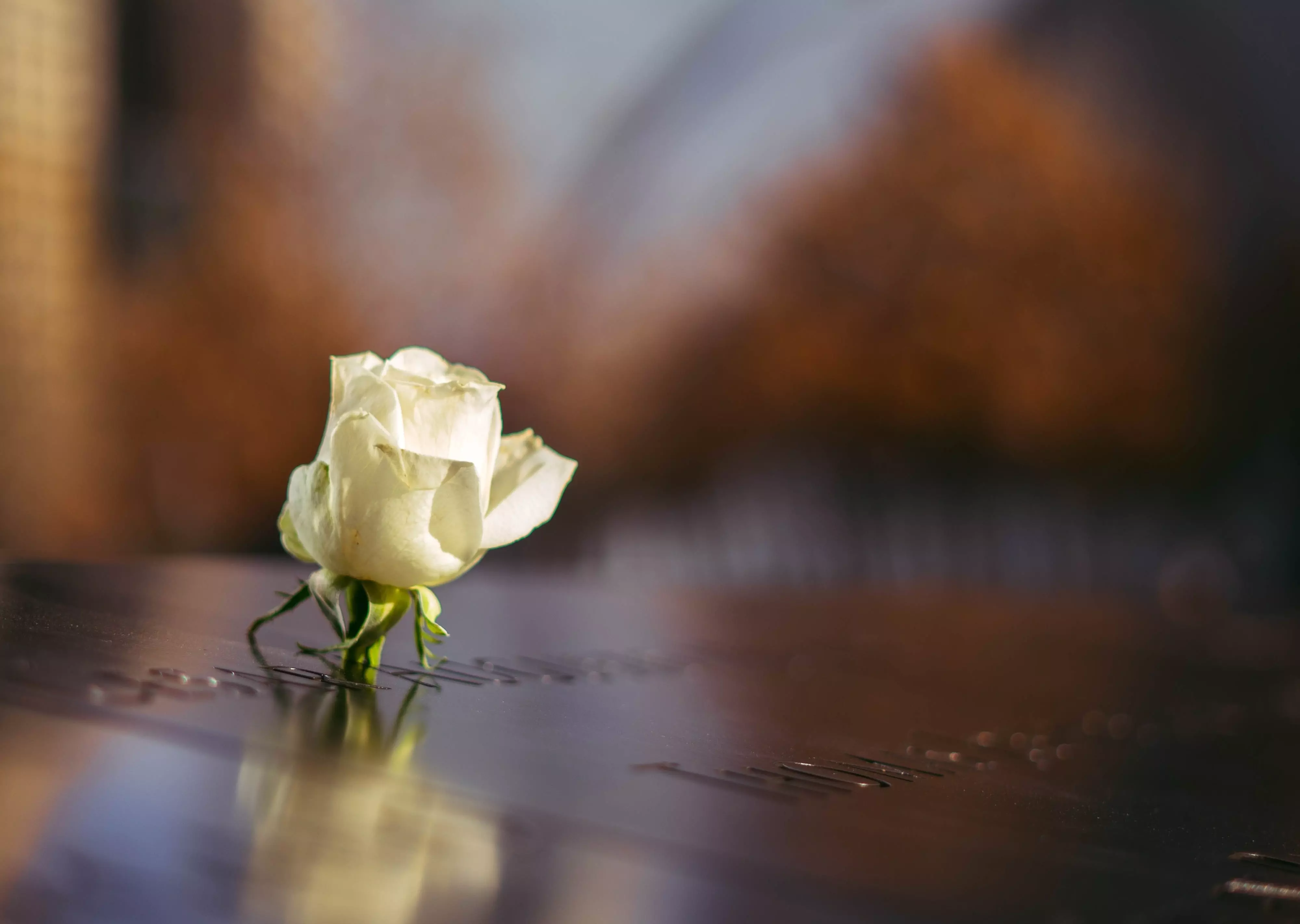 Remembering the unborn victims of September 11