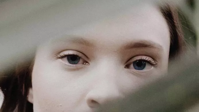 Five Reasons to Focus on Human Trafficking