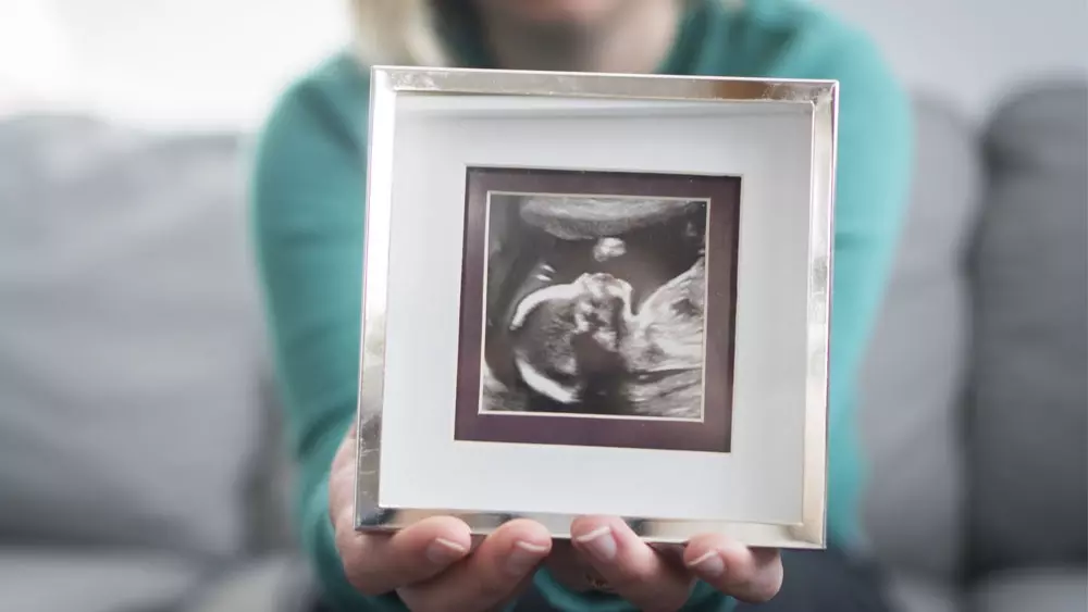 New Wisconsin center director brings distinctive experience to his role