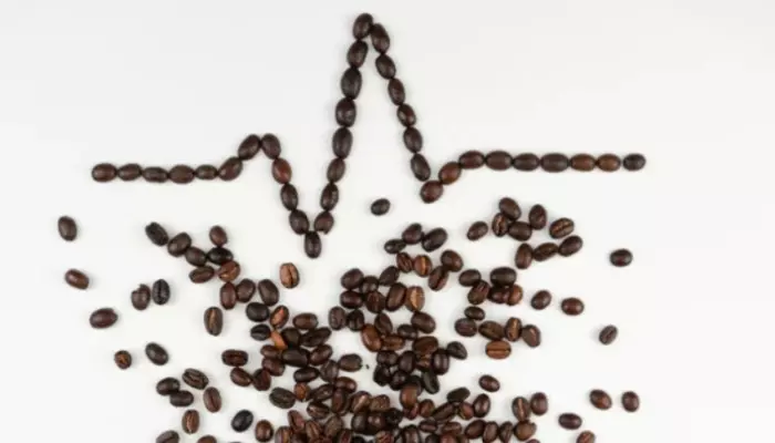 Fledgling pro-life coffee company raises tens of thousands for pregnancy centers in 2022