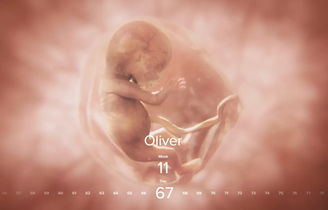 Pro-life group Live Action offers ‘window to the womb’ in new online experience