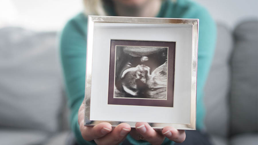 New Wisconsin center director brings distinctive experience to his role